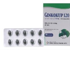 Ginkokup 120Mg
