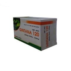 Gintana 120Mg