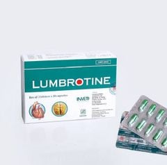 Lumbroitin Vỉ