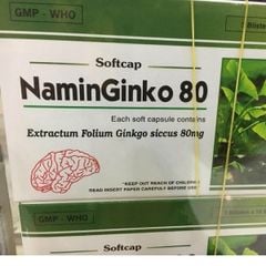 Naminginko 80Mg