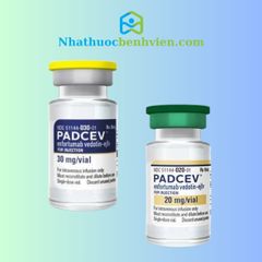 PADCEV ( Enfortumab Vedotin-ejfv ) - Điều trị ung thư Bàng quang