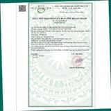 Gastro Cumin - Hỗ trợ giảm axit dịch vị, giảm nguy cơ viêm loét dạ dày, tá tràng
