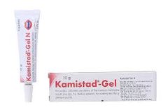 Kamistad-Gel N 10g