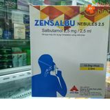 Zensalbu Nebules 2.5