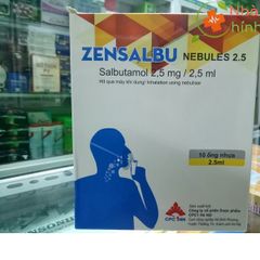 Zensalbu Nebules 2.5
