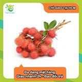  [Chỉ Giao HCM] Chôm chôm Thái - chùm 2kg 