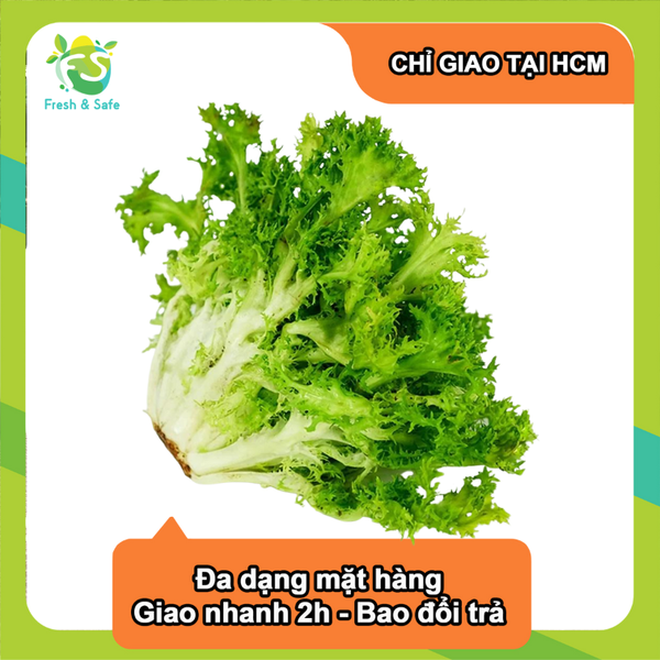  [Chỉ Giao HCM] Xà lách frisee 