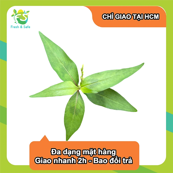  [Chỉ Giao HCM] Rau răm - 30g 