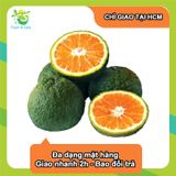  [Chỉ giao HCM] Cam sành - 5kg 