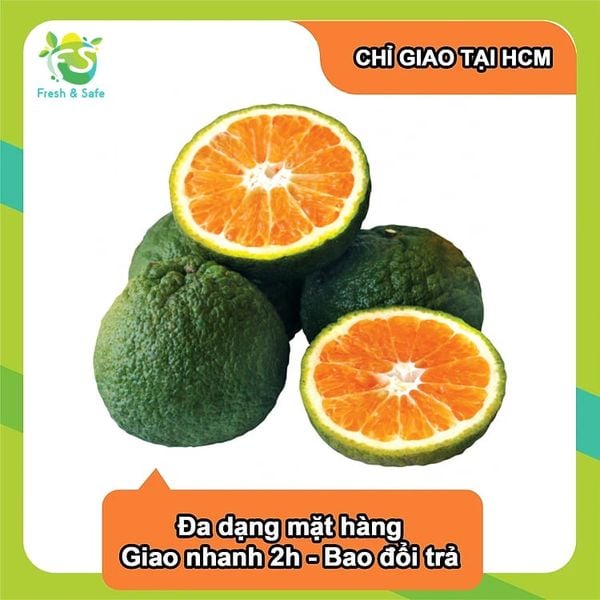  [Chỉ giao HCM] Cam sành - 5kg 