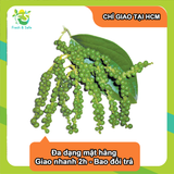  [Chỉ Giao HCM]  Tiêu xanh - 100gr 