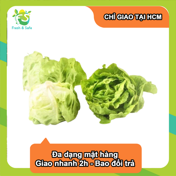  [Chỉ Giao HCM] Xà lách búp mỡ - 300gr 
