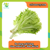  [Chỉ Giao HCM] Xà lách lolo xanh 