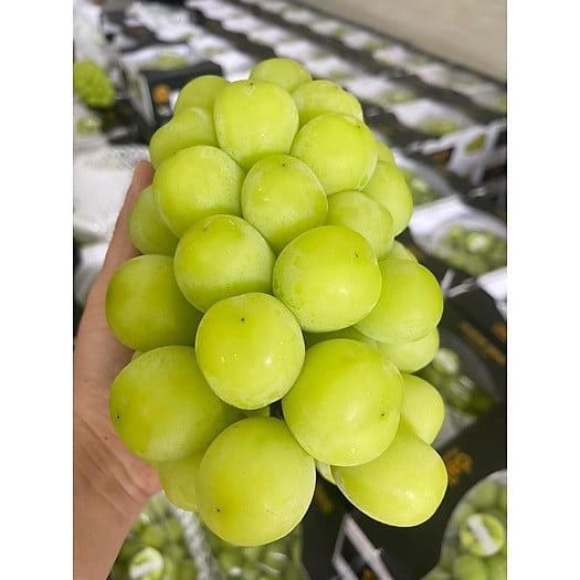  [Chỉ Giao HCM] Nho xanh mẫu đơn - chùm 1kg 