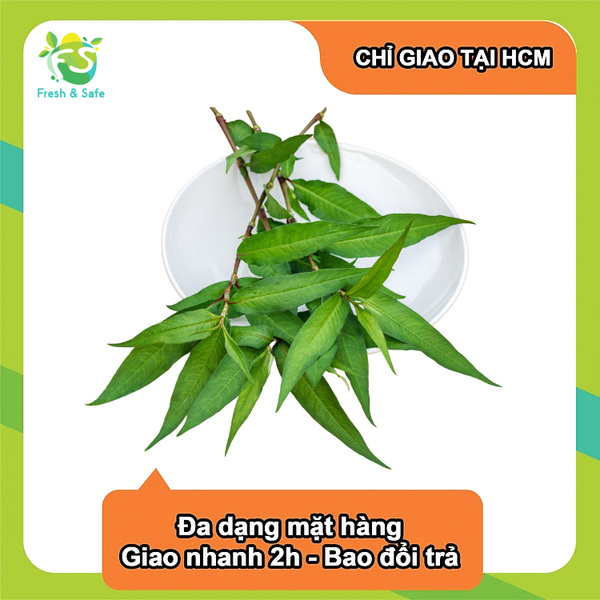  [Chỉ Giao HCM] Rau răm - 30g 