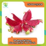 [Chỉ Giao HCM] Thanh long ruột đỏ - 2kg 
