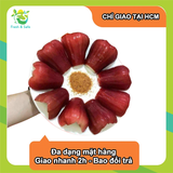  [Chỉ Giao HCM] Hộp mận đỏ An Phước - 500g 