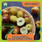  [Chỉ Giao HCM] Hồng táo 