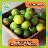  [Chỉ Giao HCM] Tắc Quất - 2kg 