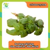  [Chỉ Giao HCM] Quế tây - 100g 