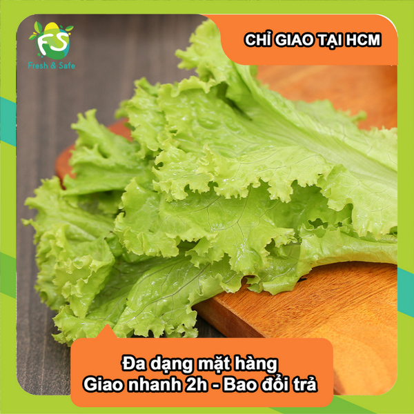Xà lách lolo xanh