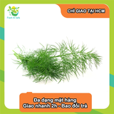  Thì là tươi - 100g 