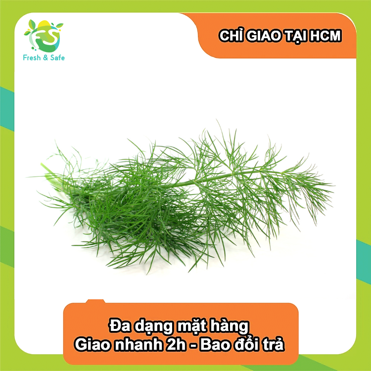  Thì là tươi - 100g 