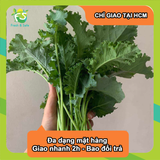  [Chỉ Giao HCM] Cải xoăn/kale 