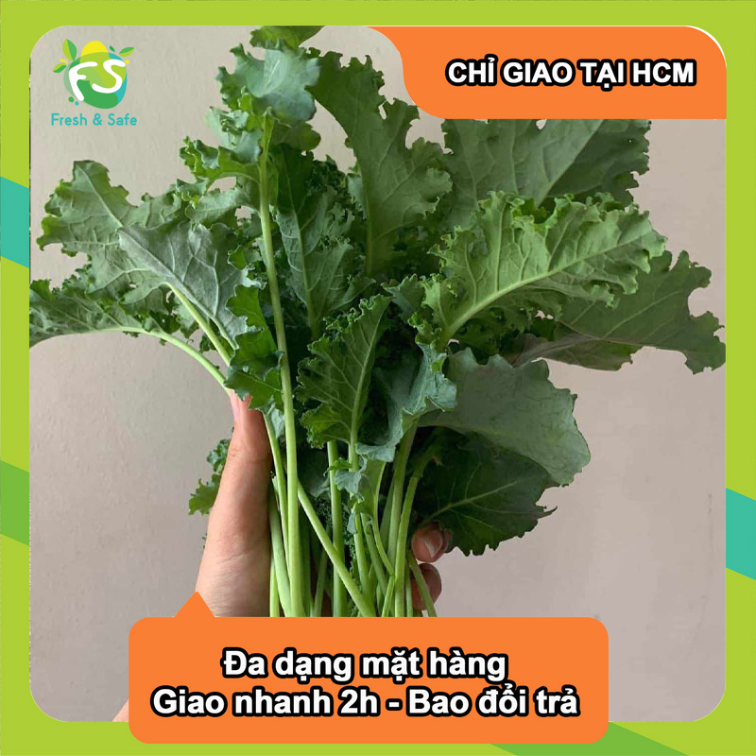  Cải xoăn / kale - 500gr 