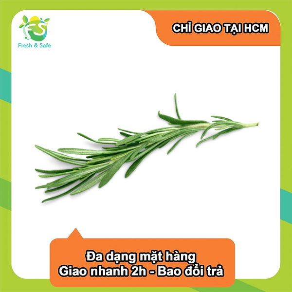  [Chỉ Giao HCM] Hương thảo - 30g 