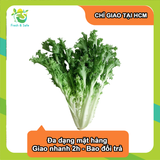  [Chỉ Giao HCM] Xà lách frisee 