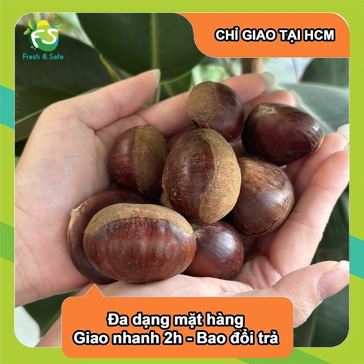  Hạt dẻ tươi - 500g 