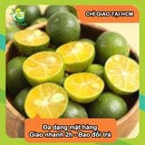  [Chỉ Giao HCM] Tắc Quất - 2kg 