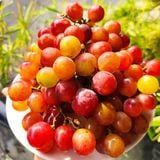  [Chỉ Giao HCM] Nho đỏ Ninh Thuận - 500g 