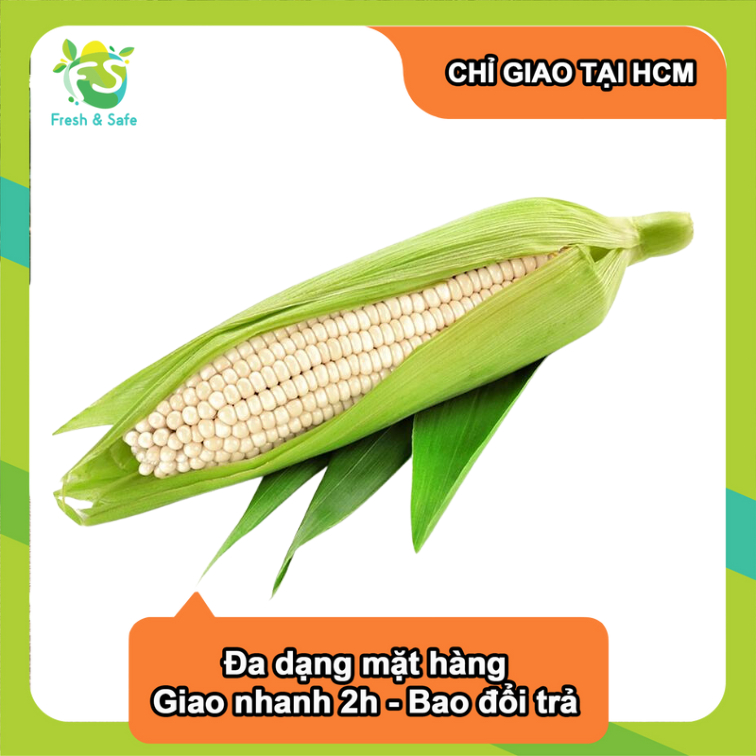  [Chỉ Giao HCM] Bắp Nếp 
