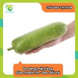  [Chỉ Giao HCM] Bầu sao 