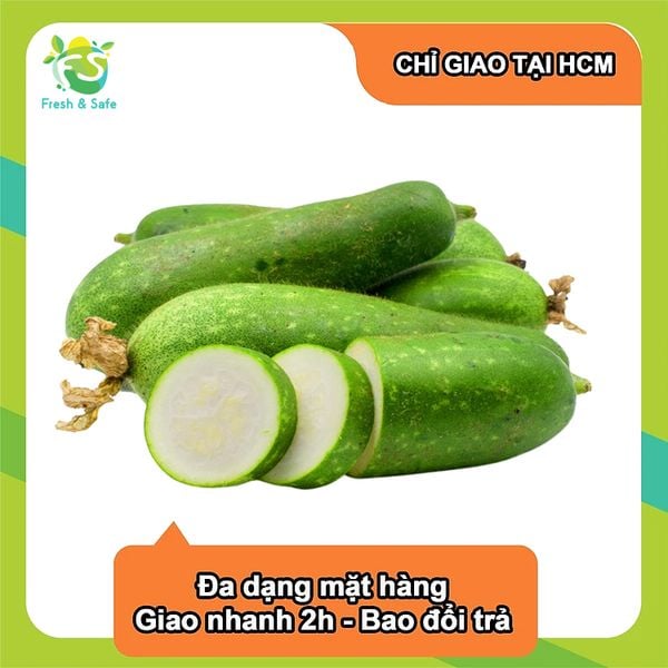  [Chỉ Giao HCM] Bí đao 