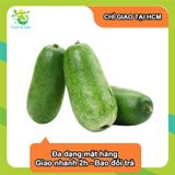  [Chỉ Giao HCM] Bí đao 