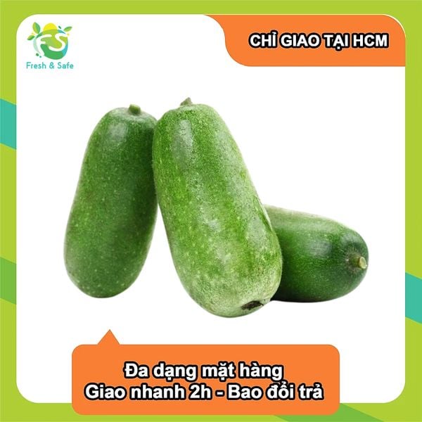  [Chỉ Giao HCM] Bí đao 