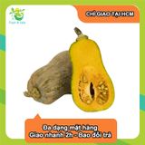  [Chỉ Giao HCM] Bí đỏ hồ lô - 1kg 