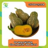  [Chỉ Giao HCM] Bí đỏ hồ lô - 1kg 
