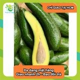  [Chỉ giao HCM] Bơ 034 