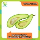  [Chỉ giao HCM] Bơ 034 