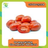  [Chỉ Giao HCM] Cà chua bi đỏ - 250gr 