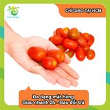  [Chỉ Giao HCM] Cà chua bi đỏ - 250gr 