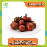  [Chỉ Giao HCM] Cà chua bi socola - 250g 