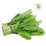  [Chỉ Giao HCM] Cải đắng / Cải bẹ xanh - 500g 