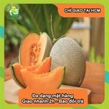  [Chỉ Giao HCM] Hộp Dưa Lưới - 500g 