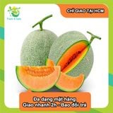  [Chỉ Giao HCM] Hộp Dưa Lưới - 500g 
