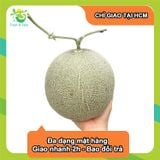  [Chỉ Giao HCM] Dưa lưới tròn 